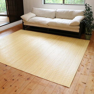  O J[ybg Rf Ђ ChlVAY ނ {8 200×250cm W O~ كO   a rO AWA ^ I[V[Y 