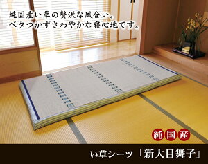 Y ̃V[ciQj wVڕqx VO88×180cm  V[c Y { VRf Vv 炳  ȒP RۖhL  L C ɂ