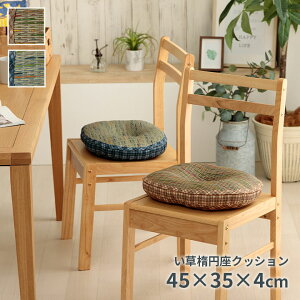 NbV ~ ȉ~`  `FbN  C ȒP 45×35×4cm [v VRf 炳   RۖhL L ɂ