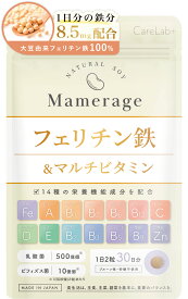【医師監修】フェリチン鉄 サプリ 鉄分8.5mg マルチビタミン 14種の栄養機能食品 60粒 30日分 貯蔵鉄 乳酸菌500億個 ビフィズス菌50億個 日本製★メール便送料無料★