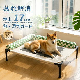 GIIPET ペットベッド 犬 ベッド 夏用 コット型 メッシュ 高床式 枕付き 脚付き 洗える 通気性 湿気対策 ひんやり 耐荷重30kg 中型犬 大型犬 猫 犬用ベッド ハンモック 頑丈 組み立て簡単