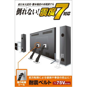 �G���R�� �ϐk�x���g �e���r�p 75�C���`�܂őΉ� ���͔S���V�[���^�C�v 2�{�� TS-002N2
