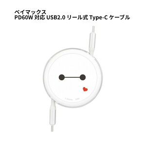 P[u  ^Cvc P[u LN^[ xC}bNX fBYj[LN^[ PD60W Ή USB2.0 [ Type-CP[u O}fB[Y