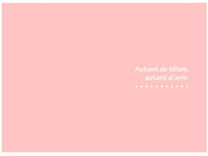 HAKUBA ハクバ MRCDO-2LY3PK(ピンク) 写真台紙 ランス ドゥ 2L(カビネ)サイズ 3面 (ヨコ・ヨコ・ヨコ)