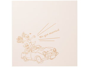 HAKUBA nNo MJ-HM-2L2PK (sN)@ʐ^䎆 WCt nl[ 2L(Jrl)TCY 2ʁip×2j