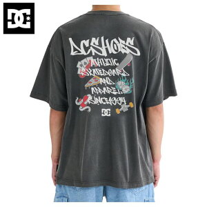 DC Shoes �f�B�[�V�[�V���[�Y �y�����Y�z 25 �W�����u���A�b�v �V���[�g�X���[�u T�V���c �yBKP�z DST252011 25 JUMBLE UP SS