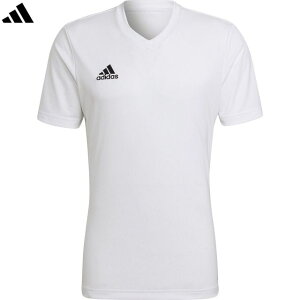 adidas AfB_X yYzEntrada 22 W[W[ ZG486 AEROREADY yzCgz