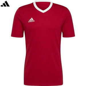 adidas AfB_X yYzEntrada 22 W[W[ ZG486 AEROREADY y`[p[bhz