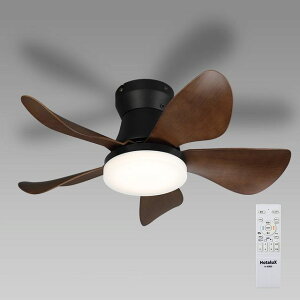 Hotalux �z�^���N�X XZF-06433KRCSG�@LED�V�[�����O�t�@���@HotaluX WING �`6��