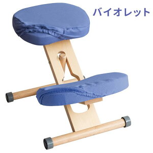 MIYATAKE �{�����쏊 �v���|�[�V�����`�F�A�p�ւ��J�o�[ �o�C�I���b�g(���ʂƕG��2���Z�b�g)