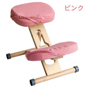 MIYATAKE �{�����쏊 �v���|�[�V�����`�F�A�p�ւ��J�o�[ �s���N(���ʂƕG��2���Z�b�g)