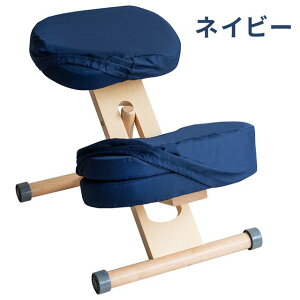 MIYATAKE �{�����쏊 �v���|�[�V�����`�F�A�L�b�Y�p�ւ��J�o�[ �l�C�r�[(���ʂƕG2���3���Z�b�g)