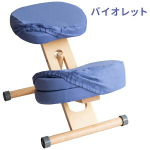 MIYATAKE �{�����쏊 �v���|�[�V�����`�F�A�L�b�Y�p�ւ��J�o�[ �o�C�I���b�g(���ʂƕG2���3���Z�b�g)