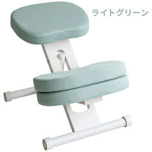 MIYATAKE �{�����쏊 �N�b�V�����t���v���|�[�V�����`�F�A�L�b�Y(�z���C�g�r) ���C�g�O���[�� CH-N889CK