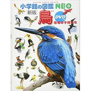 小学館 図鑑 Neo 鳥の人気商品 通販 価格比較 価格 Com