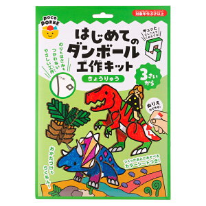 �͂��߂Ẵ_���{�[���H��L�b�g ���傤��イ pocoPOKKE �M���|�[ �Ⓓ�Y�� ��F�m�\�� �m�� �ߋ� �������� ������� ���ȍm�芴