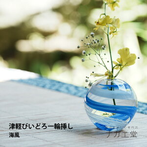 _JMtg^Ìyтǂʎ{iCj bAfA ԕr ֑} t[x[X  Mtg lG tďH~  a  RpNg {  ؂ ikebana j