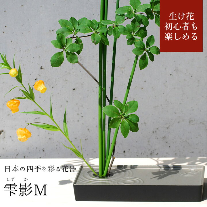 楽天市場 ホワイトデーギフト 生け花 花器 雫影 しずか Mサイズ 剣山 水盤 花瓶 一輪挿し フラワーベース 華道 枝物 おしゃれ ギフト 四季 花 誕生日 送料無料 和モダン コンパクト 日本製 生花 ブーケ 切り花 Ikebana シャクヤク お祝い お供え アレンジメント