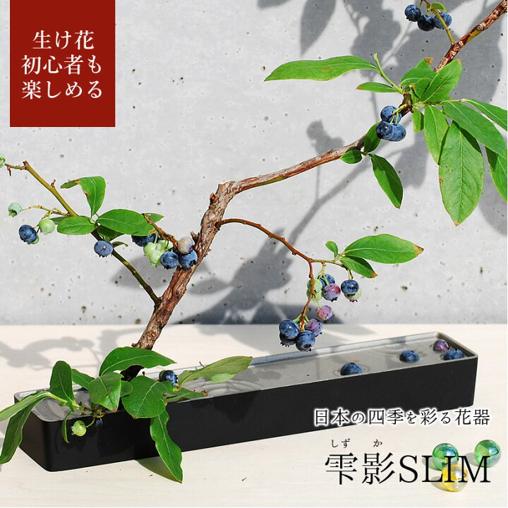 楽天市場】＼新生活応援／雫影（しずか）SLIM｜銀雅堂 生け花 花器 