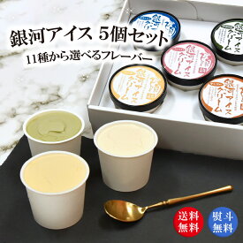ギフト 銀河アイス 11種から選べる5個セット 送料無料 アイスクリーム 詰め合わせ アイス 新鮮卵 プレゼント お歳暮 濃厚 スイーツ プレゼント ギフト 卒業式 入学式 御中元 御歳暮 入学式 卒業式