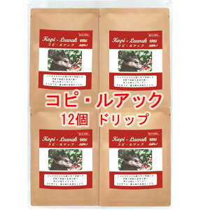 ̓R[q[ hbvobO WRElȒ̓ŔyuRsEAbNiKn VRWRElRjvijChlVA 12g×12obO R[q[  蓤 lC  y