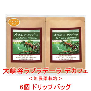 ̓R[q[ hbvobO u勬Jvf[ fJtF@_͔|vij RrA 12g×6obO R[q[  蓤 JtFCX lC  yV