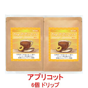 ̓R[q[ hbvobO AvRbg̊Á` uThe AvRbgvijRrA GpC\_ 12g×6obO R[q[  蓤 lC  yV