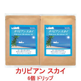 銀河コーヒー ドリップバッグ 深く澄み渡る香味 ゴキゲンな後味「カリビアン スカイ」（中煎り） ドミニカ共和国 バラオナ指定農園 12g×6バッグ コーヒー豆 珈琲 珈琲豆 人気 おすすめ 楽天