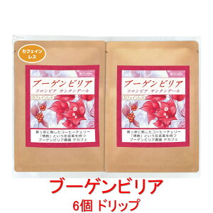 ̓R[q[ hbvobO JtFCXȂ[L閡킢uu[QrA fJtFvij RrA u[QrA 12g×6obO R[q[  蓤 lC 