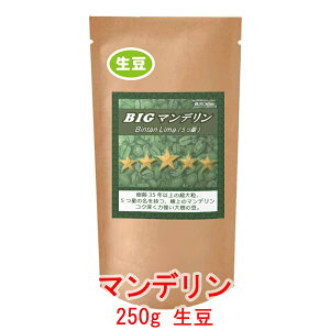 ̓R[q[  rbO}f 250g R[q[  蓤 lC  yV