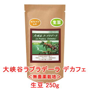̓R[q[  u勬Jvf[vij RrA 250g R[q[  蓤 JtFCX lC  yV
