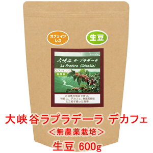 ̓R[q[  u勬Jvf[vij RrA 600g R[q[  蓤 JtFCX lC  yV
