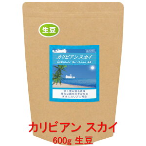 ̓R[q[  [ݓn鍁 SLQȌ㖡uJrA XJCv h~jJa oIiw_ 600g R[q[  蓤 lC  yV