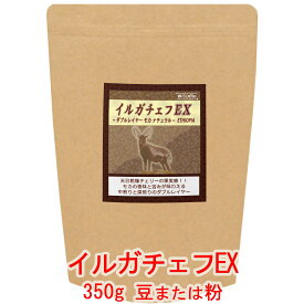 銀河コーヒー コーヒー豆 果実感・発酵感・ほろ苦さ「イルガチェフEX」（やや中煎り・やや深煎りの2階層） エチオピア コチャレ農園 350g コーヒー豆 珈琲 珈琲豆 人気 おすすめ 楽天
