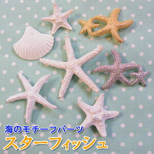 C̃`[tp[c 1 X^[tBbV qgfp[c