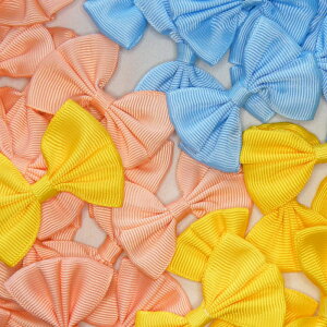 _F25^5.5cm^Cv 傫 킢 { `[t p[c  | `[t wANbv wAANZ wAS u[ CG[ xr[sN