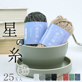 【ラメ糸 毛糸 まとめ買い 選べる25玉＋おまけ5玉プレゼント 合計30玉】 星の糸 極太 計30玉入 ポリエステル100% 約40g 約48m 夏糸 バッグ 小物 編み物 福袋