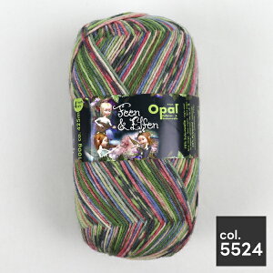 Opal FeenElfen dƃGt 100g 425m S8F זю 1ʔ̔ Ip[ю  C \bN[ Ip[ ю Cp  hCc ҂ݕ i Of[V  }t[ | n