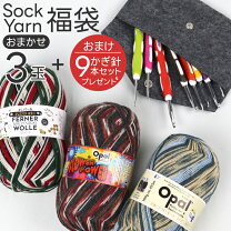 楽天市場】ソックヤーン 福袋の通販