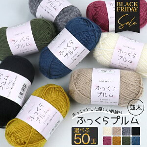 ubNtCf[ Iׂ50ʃZbg11/20 20` yIׂ50 5×10Fzӂv ю  30g 75m э AN E[ ю ҂  ܂Ƃߔ pbN 