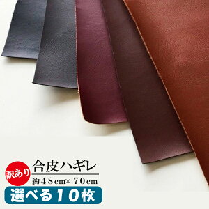Iׂ10J[!  ͂ꐶn 48cm×70cm JbgNX ͂/Jbgny傱Ɩ󂠂zobO/ CeA  v v tFCNU[ P 󂠂 AEg