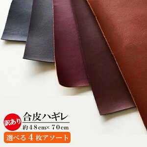 Iׂ4`!  ͂ꐶn 48cm×70cm JbgNX ͂/Jbgny傱Ɩ󂠂zobO/ CeA  v v tFCNU[ P 󂠂 AEg