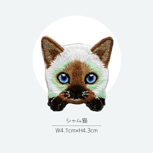 X[p[SALEԒ lZ[12/4 20` yS12ށzACby AbvP hJ L ˂ Lbg 񂽂 킢 ڒ j̎q ̎q  w nhCh  h