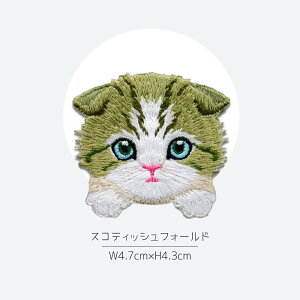 yS12ށzACby AbvP hJ L ˂ Lbg 񂽂 킢 ڒ j̎q ̎q  w nhCh  hイ ^O