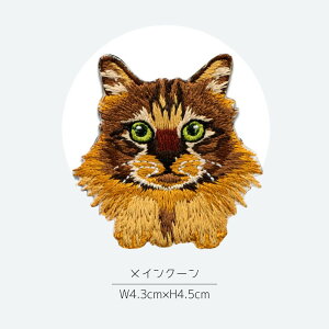 X[p[SALEԒ lZ[12/4 20` yS12ށzACby AbvP hJ L ˂ Lbg 񂽂 킢 ڒ j̎q ̎q  w nhCh  h