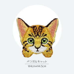 yS12ށzACby AbvP hJ L ˂ Lbg 񂽂 킢 ڒ j̎q ̎q  w nhCh  hイ ^O