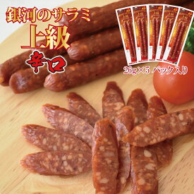【1000円ポッキリ 送料無料】お試しセット 銀河のサラミ上級 辛口（26g×5本入り） ／ 常温 辛口 旨辛 ちょい辛 サラミ サラミソーセージ ドライソーセージ おつまみ おやつ ついで買い 宅飲み ネコポス ポストにお届け