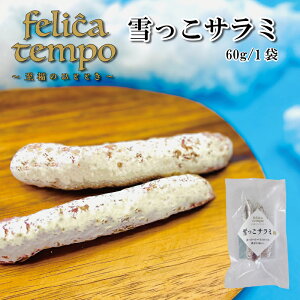 _ ʌ̔I ^ yJr T~ zFelica Tempo  T~ ^ T~ Y Yؓ 茧Y 茧Yؓ JrT~ Jr ܂ ӎ ƈ ĂȂ l C r[