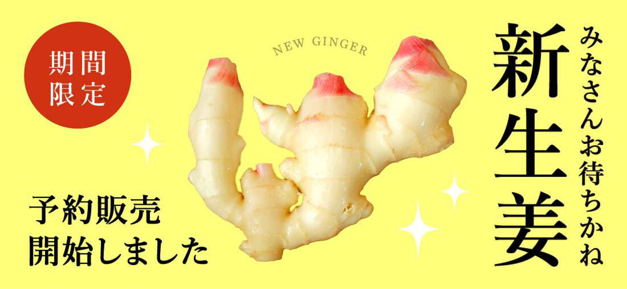 新生姜