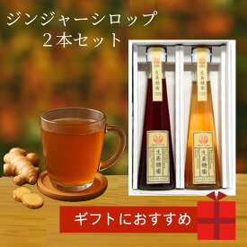 生姜ギフトセット ジンジャーシロップ 2本セット 化粧箱入り 国産 熊本・高知・長崎産 温活 冷え対策 お歳暮 お年賀 内祝い 出産祝い 送料無料 プレゼント